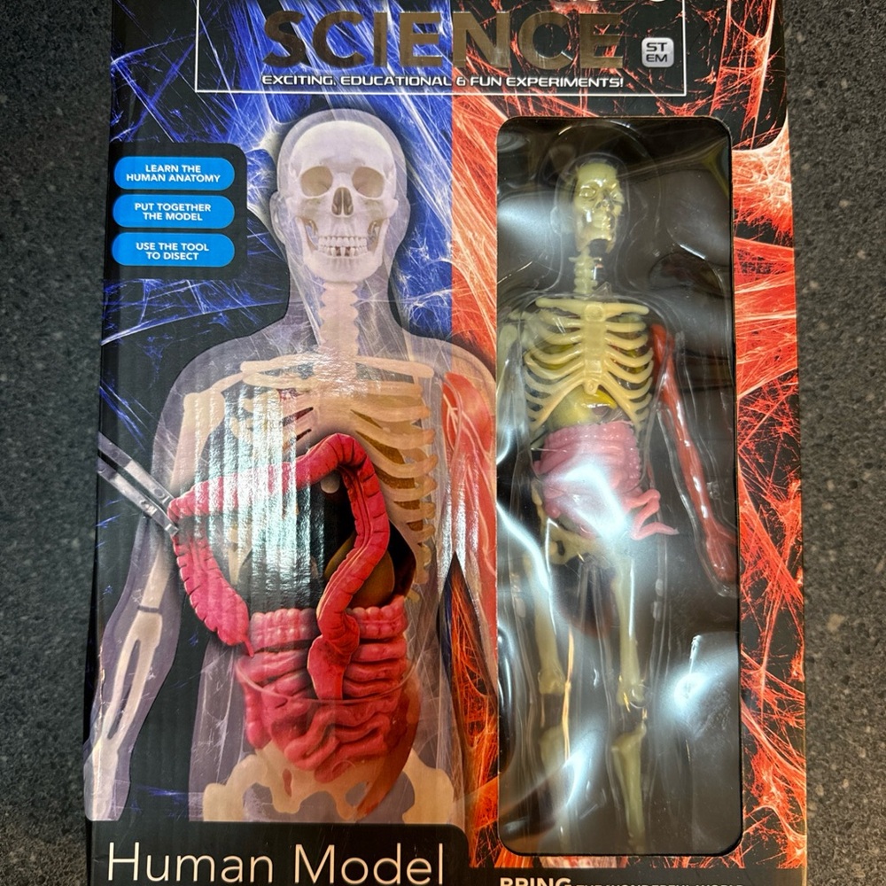 Unbelievable Science Stem Human Model Squishy Anatomy 9" Disectable Model Kit